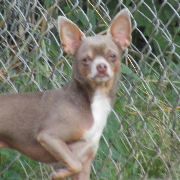 Meet your Posher, Petrina - Picture 5 of 6